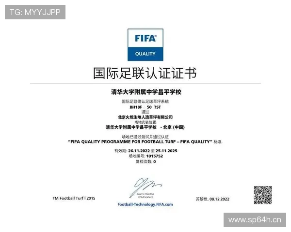 新疆伊宁青年投资打造FIFA标准足球场